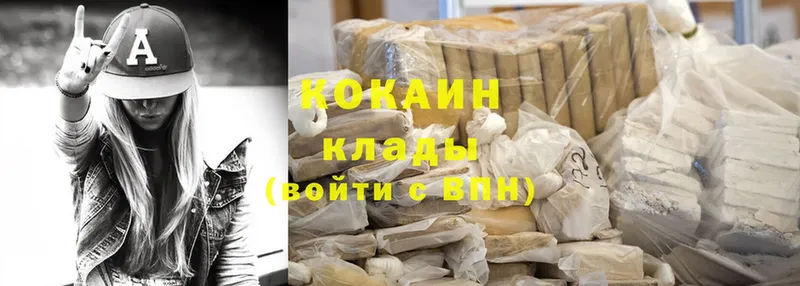 Cocaine FishScale  где купить   Мышкин 